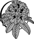 Rhododendron line art ©Mary Ahern 2003