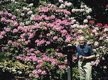 Al Muller in his rhododendron garder